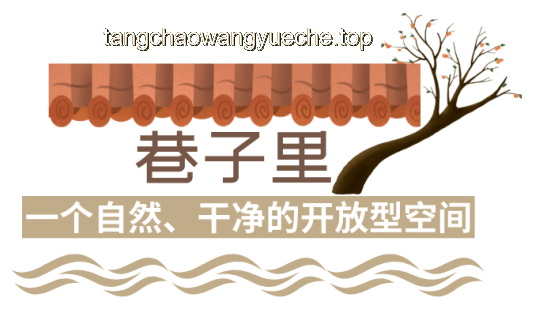 用整个青春珍藏的五种友谊：类型、价值与维系之道